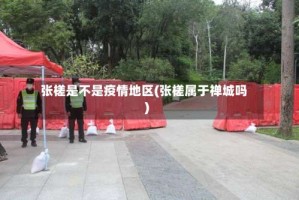 张槎是不是疫情地区(张槎属于禅城吗)
