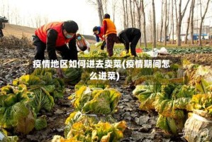 疫情地区如何进去卖菜(疫情期间怎么进菜)