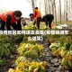 疫情地区如何进去卖菜(疫情期间怎么进菜)