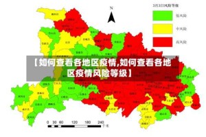 【如何查看各地区疫情,如何查看各地区疫情风险等级】
