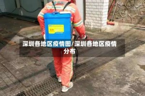 深圳各地区疫情图/深圳各地区疫情分布