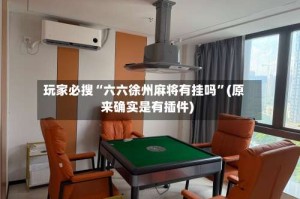 玩家必搜“六六徐州麻将有挂吗”(原来确实是有插件)