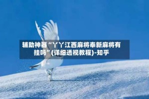 辅助神器“丫丫江西麻将奉新麻将有挂吗”(详细透视教程)-知乎