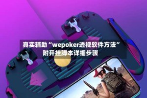 真实辅助“wepoker透视软件方法”附开挂脚本详细步骤