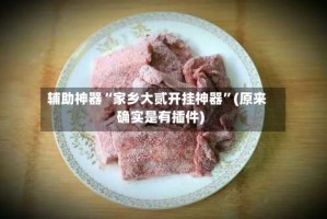 辅助神器“家乡大贰开挂神器”(原来确实是有插件)