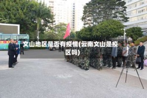 文山地区是否有疫情(云南文山是疫区吗)