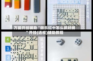 万能开挂辅助“微乐红十怎么抓好牌”开挂(透视)辅助教程