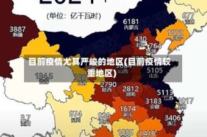 目前疫情尤其严峻的地区(目前疫情较重地区)