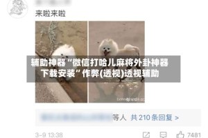 辅助神器“微信打哈儿麻将外卦神器下载安装”作弊(透视)透视辅助