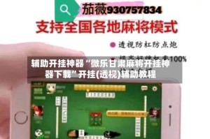 辅助开挂神器“微乐甘肃麻将开挂神器下载”开挂(透视)辅助教程