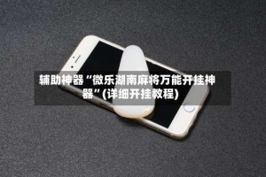 辅助神器“微乐湖南麻将万能开挂神器”(详细开挂教程)