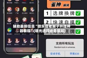 辅助最新信息“微乐捉老麻子开挂神器教程”(曝光透视必备猫腻)