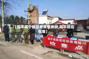 【阳平哪个地区有疫情病例,阳平现在在哪】
