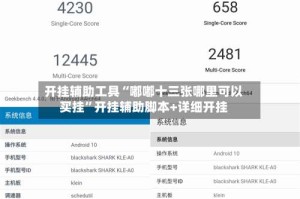 开挂辅助工具“嘟嘟十三张哪里可以买挂”开挂辅助脚本+详细开挂