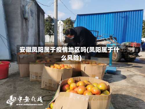 安徽凤阳属于疫情地区吗(凤阳属于什么风险)-第1张图片