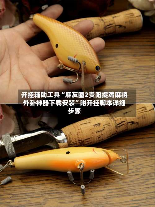 开挂辅助工具“麻友圈2贵阳捉鸡麻将外卦神器下载安装	”附开挂脚本详细步骤-第2张图片