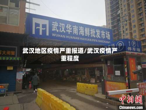 武汉地区疫情严重报道/武汉疫情严重程度-第2张图片