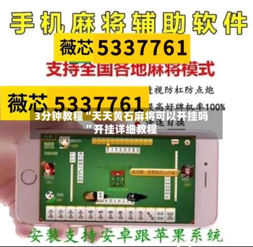 3分钟教程“天天黄石麻将可以开挂吗”开挂详细教程-第2张图片