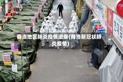 商洛地区肺炎疫情进展(商洛新冠状肺炎疫情)-第1张图片