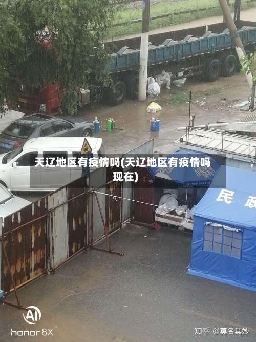 天辽地区有疫情吗(天辽地区有疫情吗现在)-第2张图片