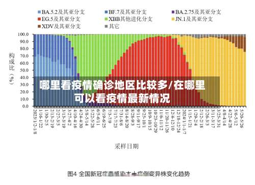 哪里看疫情确诊地区比较多/在哪里可以看疫情最新情况-第1张图片