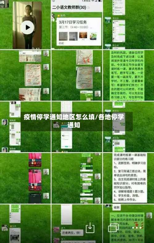 疫情停学通知地区怎么填/各地停学通知-第1张图片