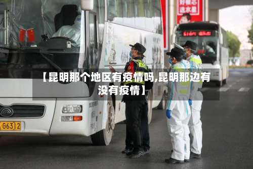 【昆明那个地区有疫情吗,昆明那边有没有疫情】-第3张图片