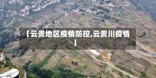 【云贵地区疫情防控,云贵川疫情】-第3张图片