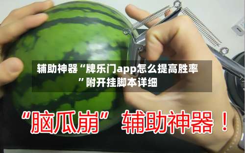 辅助神器“牌乐门app怎么提高胜率”附开挂脚本详细-第2张图片