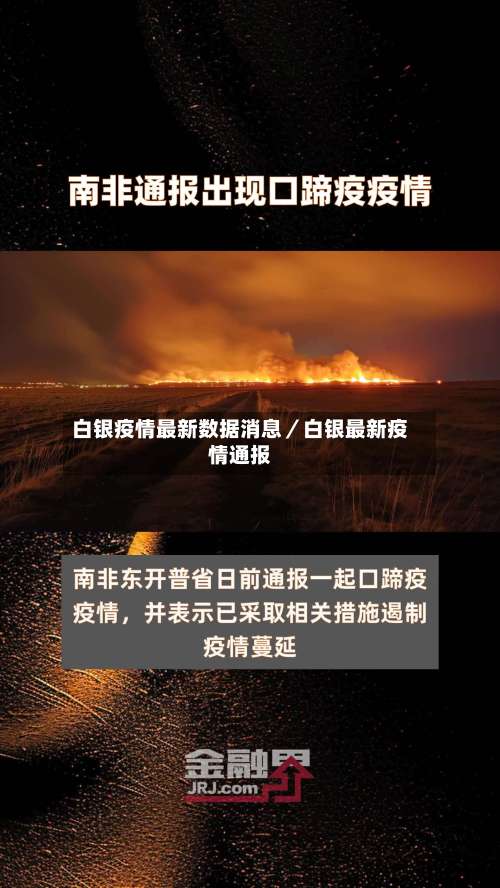 白银疫情最新数据消息／白银最新疫情通报-第2张图片
