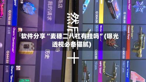 软件分享“麦穗二八杠有挂吗	”(曝光透视必备猫腻)-第1张图片