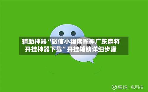 辅助神器“微信小程序雀神广东麻将开挂神器下载	”开挂辅助详细步骤-第2张图片