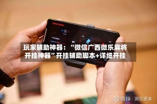 玩家辅助神器：“微信广西微乐麻将开挂神器”开挂辅助脚本+详细开挂-第2张图片