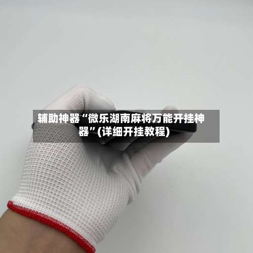 辅助神器“微乐湖南麻将万能开挂神器	”(详细开挂教程)-第1张图片