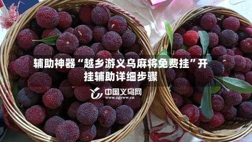 辅助神器“越乡游义乌麻将免费挂”开挂辅助详细步骤-第2张图片