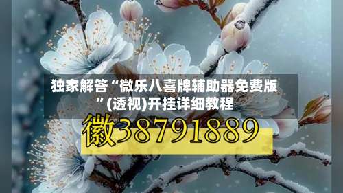 独家解答“微乐八喜牌辅助器免费版”(透视)开挂详细教程-第1张图片