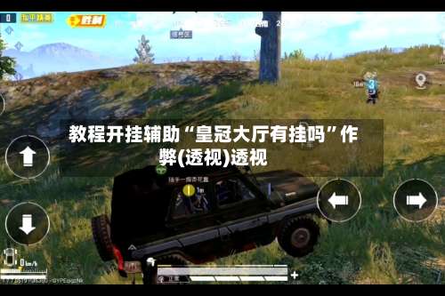 教程开挂辅助“皇冠大厅有挂吗”作弊(透视)透视-第1张图片