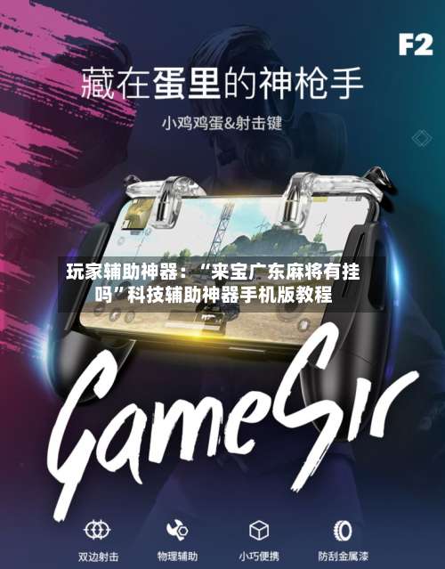 玩家辅助神器：“来宝广东麻将有挂吗	”科技辅助神器手机版教程-第2张图片