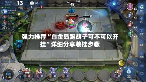 强力推荐“白金岛跑胡子可不可以开挂”详细分享装挂步骤-第2张图片