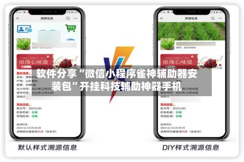 软件分享“微信小程序雀神辅助器安装包”开挂科技辅助神器手机-第1张图片