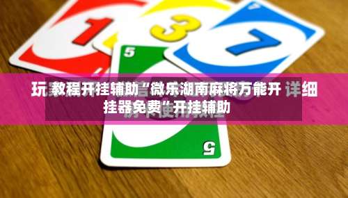 教程开挂辅助“微乐湖南麻将万能开挂器免费”开挂辅助-第3张图片