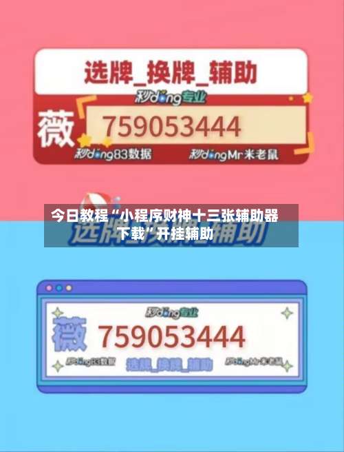 今日教程“小程序财神十三张辅助器下载”开挂辅助-第3张图片