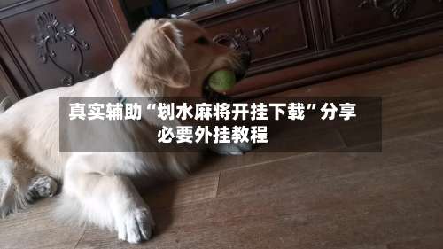真实辅助“划水麻将开挂下载	”分享必要外挂教程-第2张图片