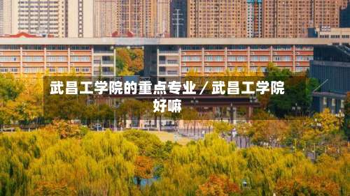 武昌工学院的重点专业／武昌工学院好嘛-第2张图片