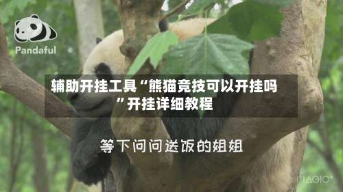 辅助开挂工具“熊猫竞技可以开挂吗”开挂详细教程-第1张图片