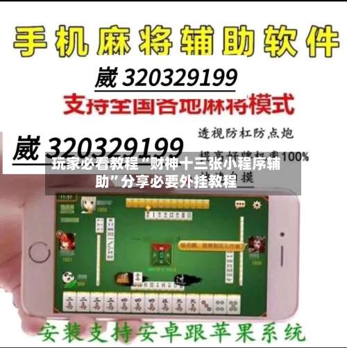 玩家必看教程“财神十三张小程序辅助”分享必要外挂教程-第2张图片