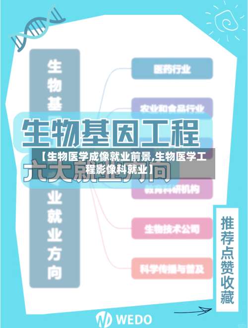 【生物医学成像就业前景,生物医学工程影像科就业】-第1张图片