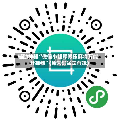 辅助神器“微信小程序微乐麻将万能开挂器”(原来确实是有挂)-第3张图片