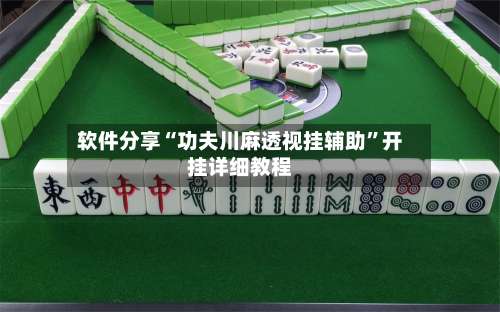 软件分享“功夫川麻透视挂辅助”开挂详细教程-第2张图片