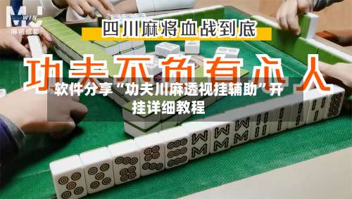 软件分享“功夫川麻透视挂辅助”开挂详细教程-第1张图片